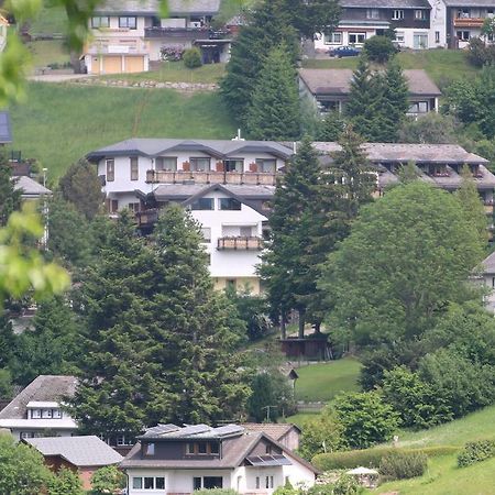 Todnauerberg Hotel Im Schwarzwald ทอดด์เนาแบร์ก ภายนอก รูปภาพ