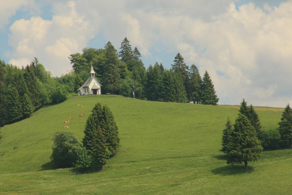 Todnauerberg Hotel Im Schwarzwald ทอดด์เนาแบร์ก ภายนอก รูปภาพ